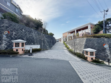 アデニウム葉山一色